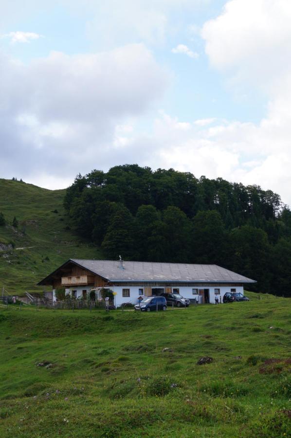 Schneiderbauer Bed & Breakfast ไวดริง ภายนอก รูปภาพ
