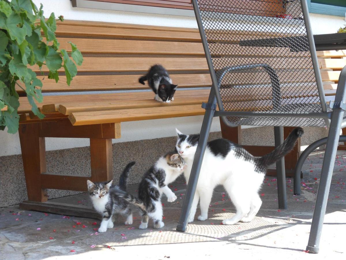Schneiderbauer Bed & Breakfast ไวดริง ภายนอก รูปภาพ